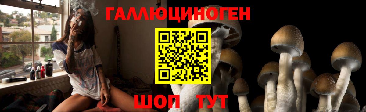 Псилоцибиновые грибы MAGIC MUSHROOMS Миллерово